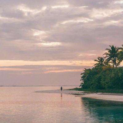 博鱼中国官网下载入口截图